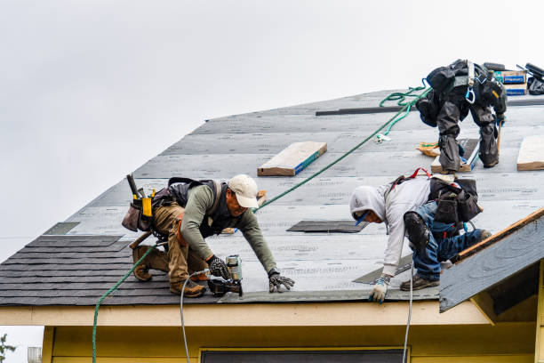 Professional Roof Replacement technician working in Idlewild, MI