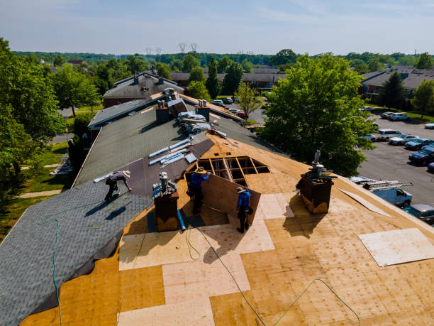 24/7 Emergency Roof Replacement experts in Idlewild, MI